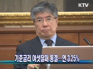 기준금리 여섯달째 동결…연 3.25%