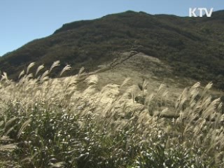 울산시, 내년 관광객 1천 7백만명 유치