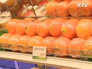 '석유 전자상거래 시장' 이달 말 개설