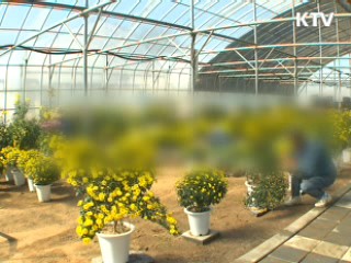 '수형자 녹색원예치료' 톡톡한 효과