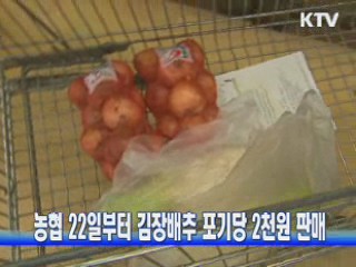 농협 22일부터 김장배추 포기당 2천원 판매