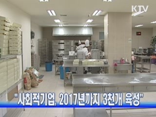 "사회적기업, 2017년까지 3천개 육성"