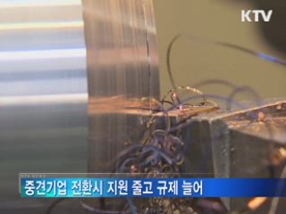 중소기업, 중견기업 전환시 5년간 지원 연장