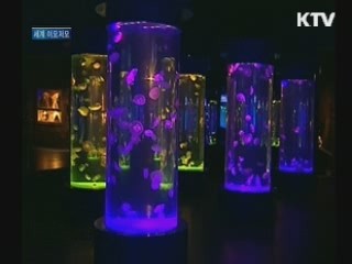 바게트 경진 대회···'최고의 맛을 찾아라'