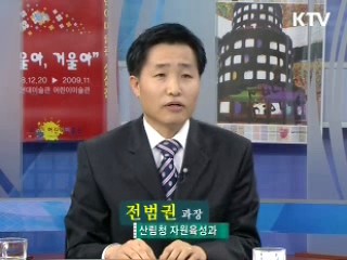 저탄소 녹색성장 밑거름, 나무심기