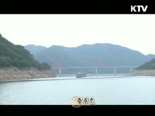 충주호 [대동문화도]