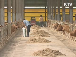 지난해 농어가 소득·부채 모두 상승