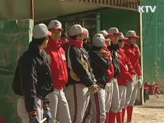 고교야구, 내년부터 권역별 리그제로 바뀐다