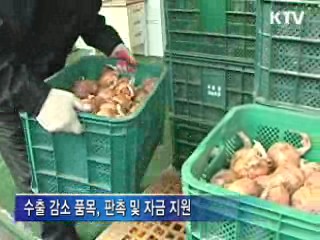 "농식품 일본 수출, 대지진 영향 미미"