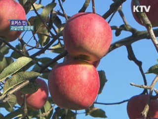 과실산업 '경쟁력으로 개방 파고 넘기'