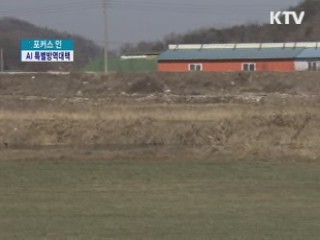 AI 재발 방지 '농가·당국 총력 방역중'