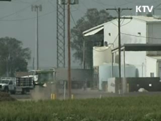 방미 조사단, 농장주와 서면 문답 조사