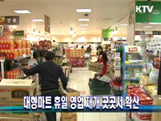 대형마트 휴일 영업 재개 곳곳서 확산