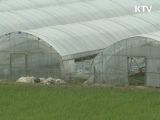 불량종자 공급 수십억 챙긴 업자 검거