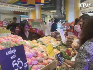 '한류 열풍을 한식으로' 해외판촉 열기