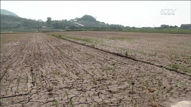박 대통령 가뭄 피해 현장 방문…"극복 총력 지원"