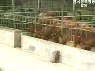 품질관리로 승부