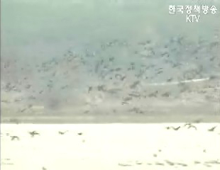 람사총회 한국 결정