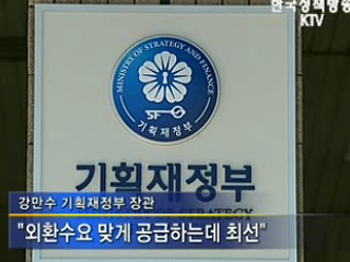 필요자금 투입, 외환시장 안정시킬 것