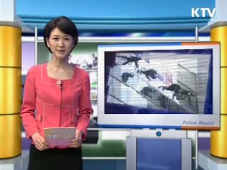 요네무라 일본 경시총감 방한(訪韓)