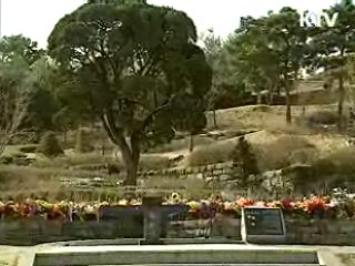 특수용도 제외 지역에 자연장지 허용