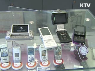 소프트웨어 세계시장 선점 지원