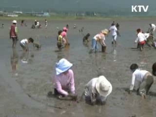 '여행을 떠나요' 생태·체험형 관광