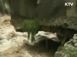 페루 고립 한국인 관광객 34명 전원 구조