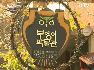 도심 속 이색탐험, 박물관으로