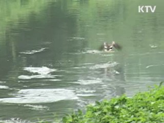 '군 복무기간 21개월' 국무회의 의결