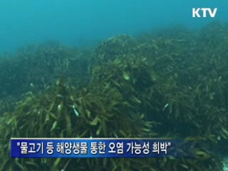 "방사성 물질, 해수 직접 유입 가능성 적어"