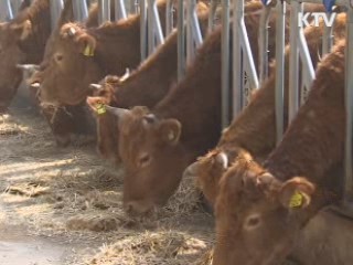 명품한우로 FTA 극복