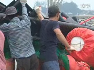 전남 9개 군 특별재난지역 결정 추진