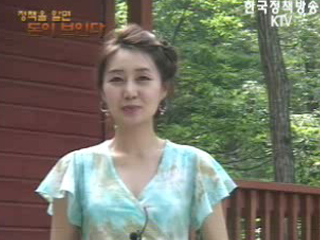 숲에서 가족사랑 찾으세요! - 숲 체험 바우처제