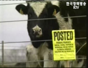 미국산 소고기 수입,안전상 문제없다