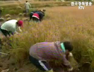 시장개방 대책 마련 분주