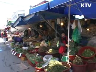 봄의 맛을 찾아서