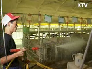 한·EU FTA 농축산 분야 피해 최소화