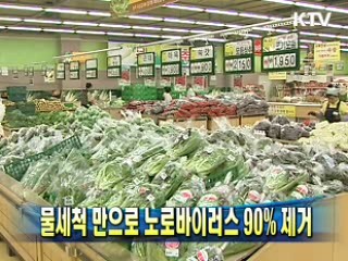물세척 만으로 노로바이러스 90% 제거