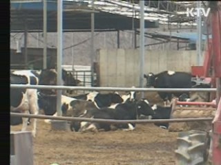 이번 주말 이후 백신효과 기대