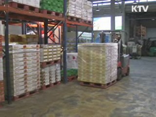 설 대비 과일 공급 2배 이상 확대