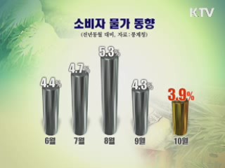 지난달 물가 3.9% 상승···오름세 둔화