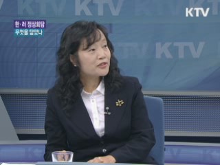 한·러 정상회담, 무엇을 담았나 [와이드 인터뷰]