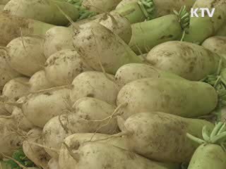 "올해 4인가족 김장비용 21만2천원"