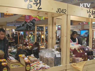 '2012 내나라 여행 박람회' 개막