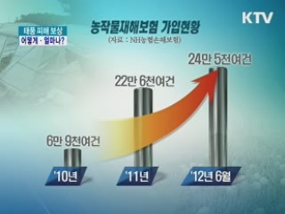 태풍 피해 보상 어떻게·얼마나?