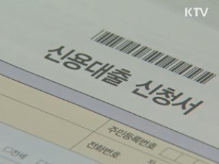 다음달부터 대부업 대출정보 온라인 확인