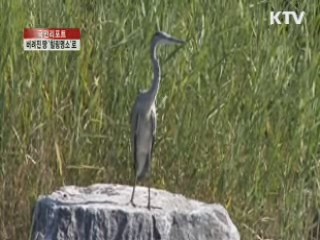 악취 나던 땅이 '힐링명소'로 [국민리포트]