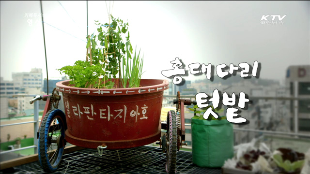 카메듀서의 映像美學 (32회)