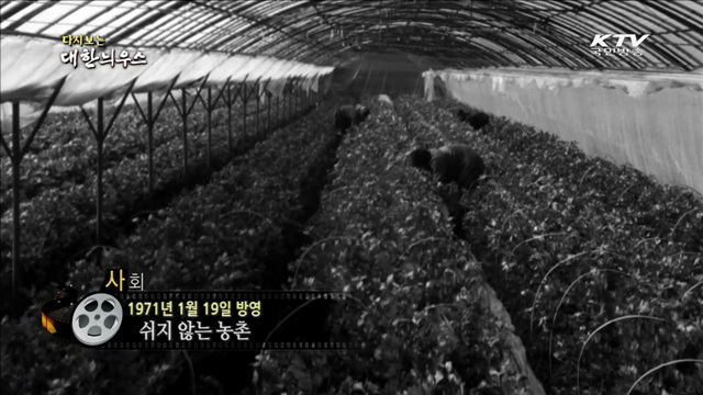 다시보는 대한늬우스 (71.01.19)